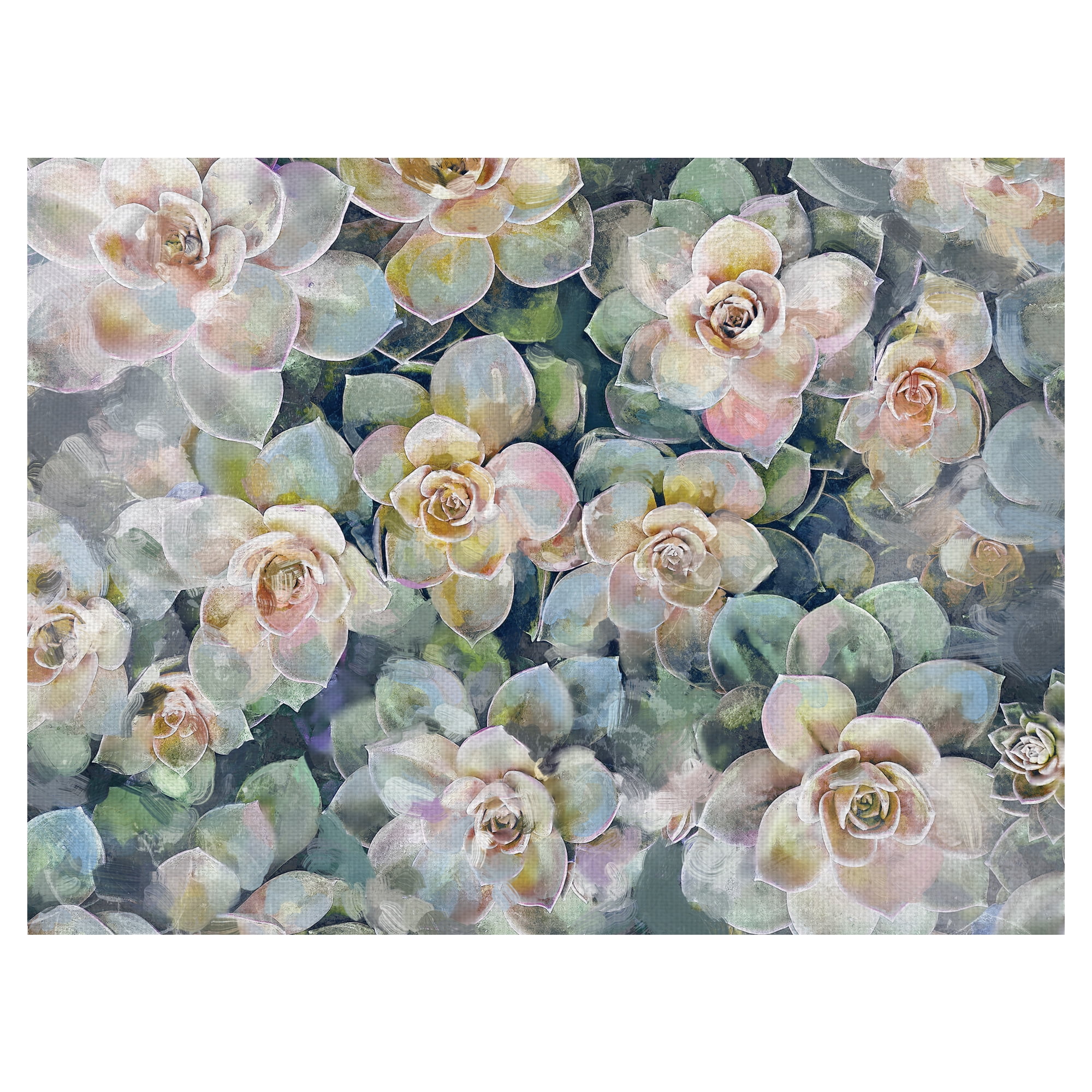 Fine Art Canvas Oasis Succulent Garden by Studio Arts Canvas Art Print