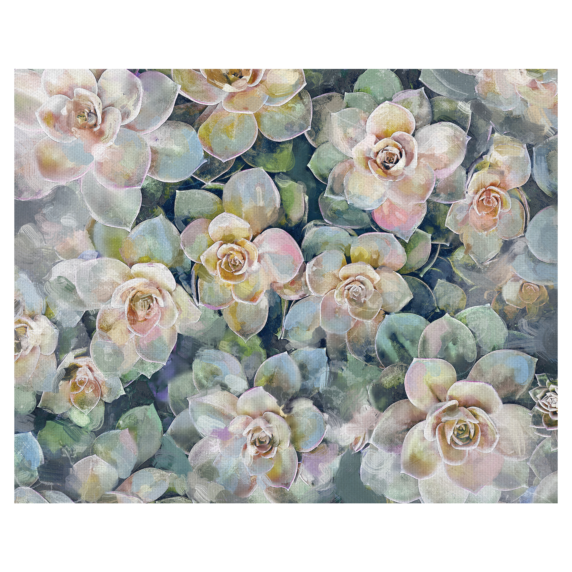 Fine Art Canvas Oasis Succulent Garden by Studio Arts Canvas Art Print