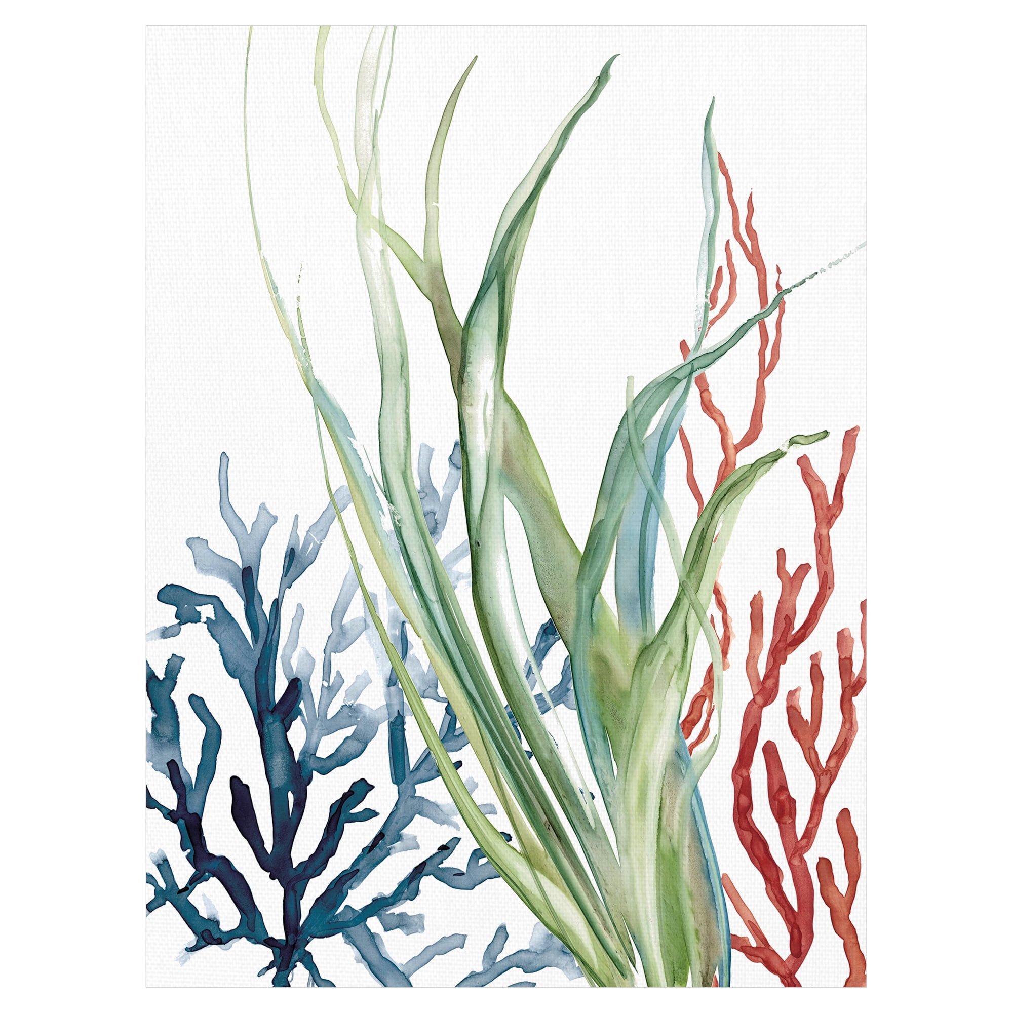 Colorful Ocean Flora Canvas Art Print for Kids Room