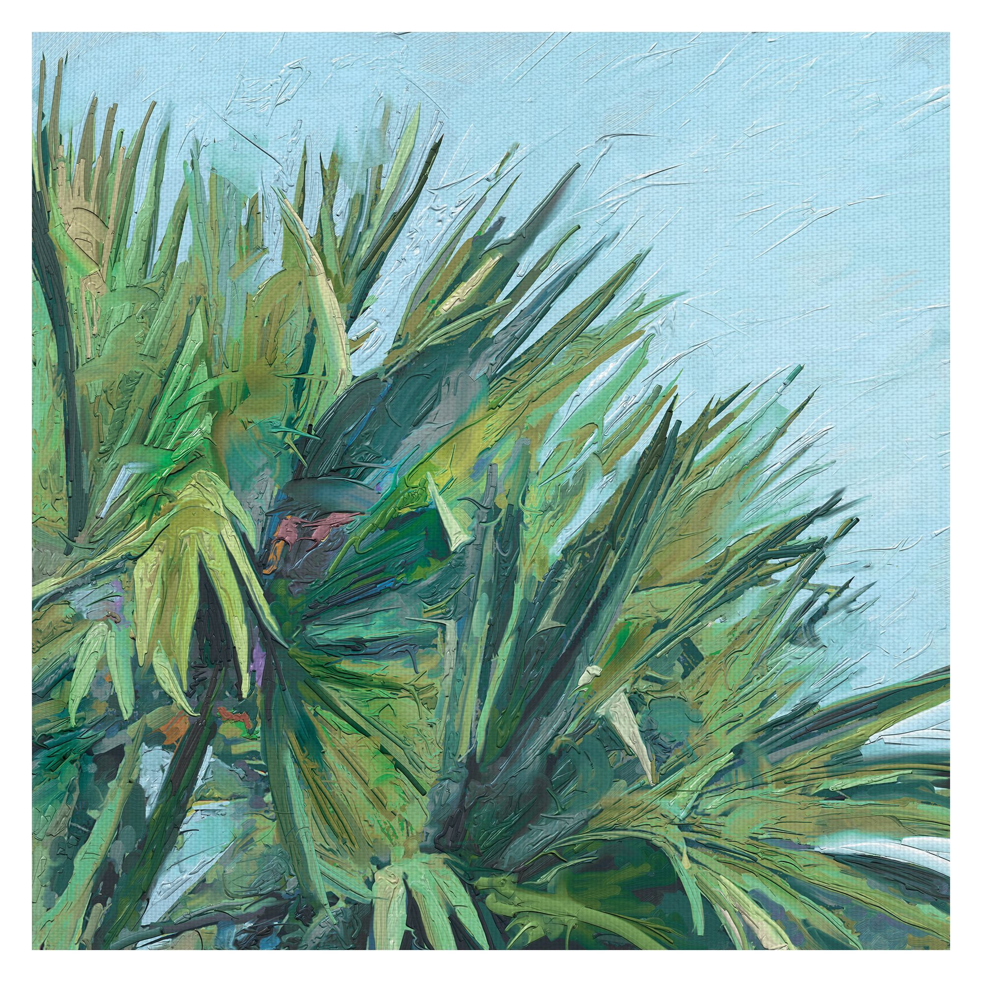 Fine Art Canvas Painted Palm by Studi Arts Canvas Art Print
