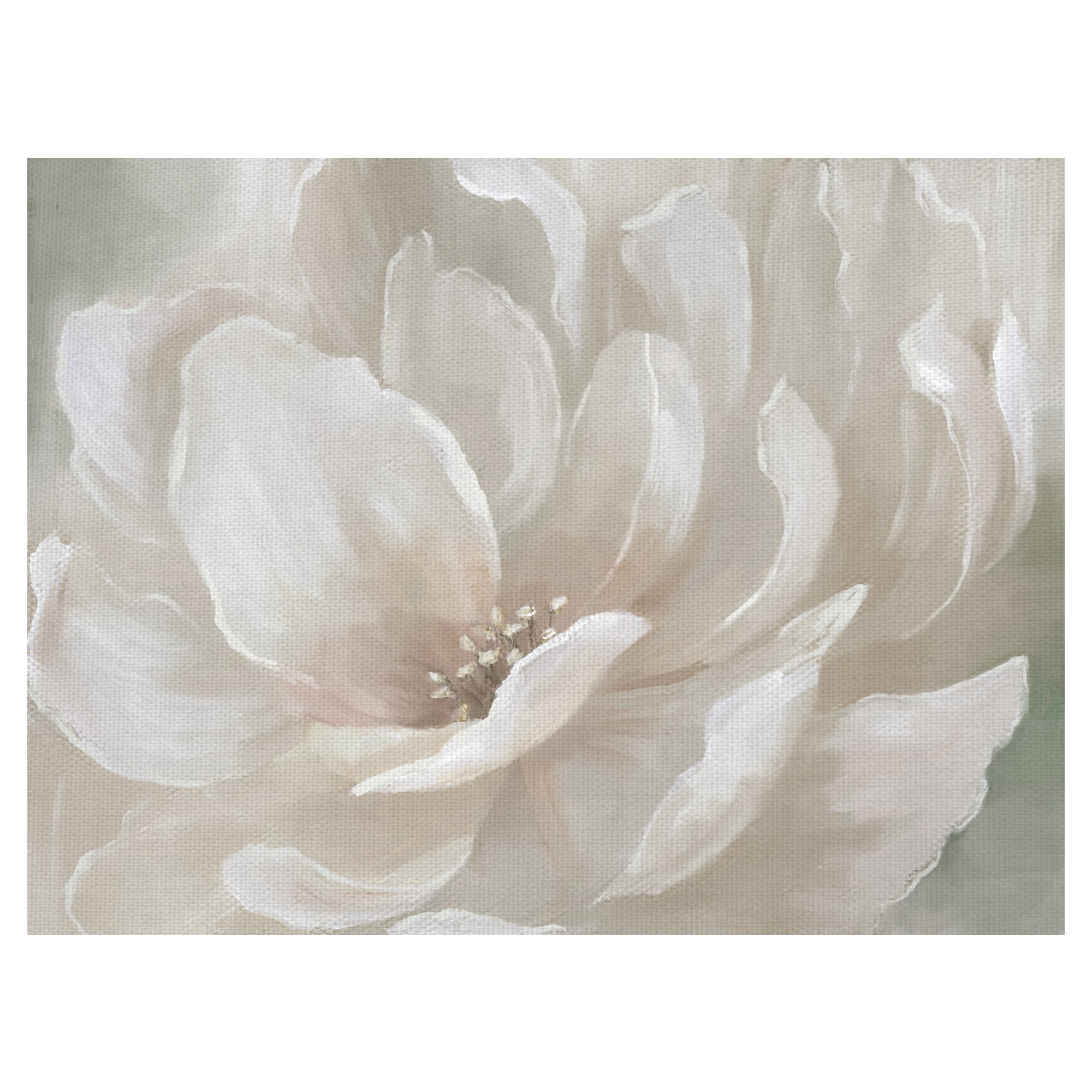 Fine Art Canvas Peach Perfect Flowers by Nan Canvas Art Print