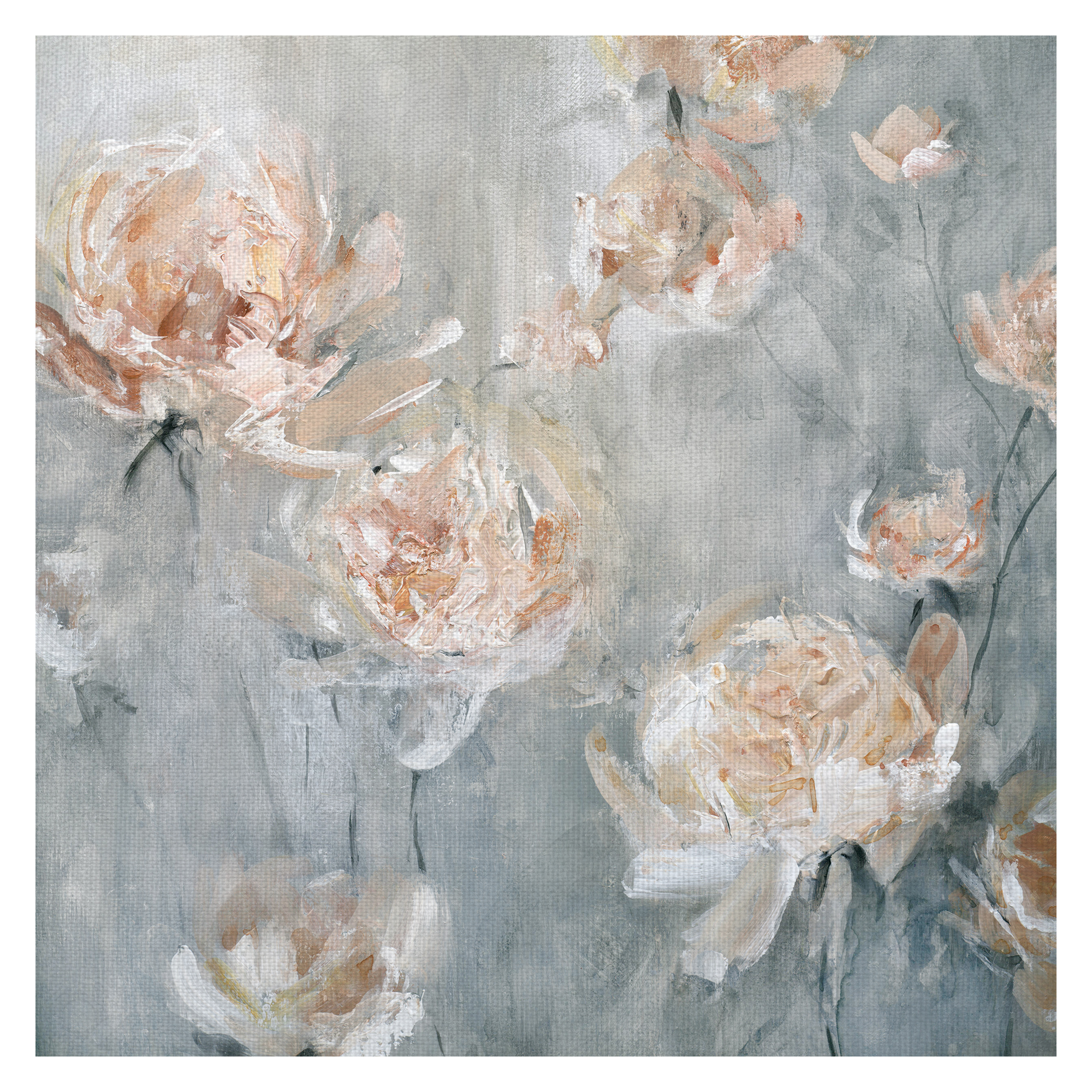 Fine Art Canvas Rose Mist on Gray by Carol Robinson Canvas Art Print