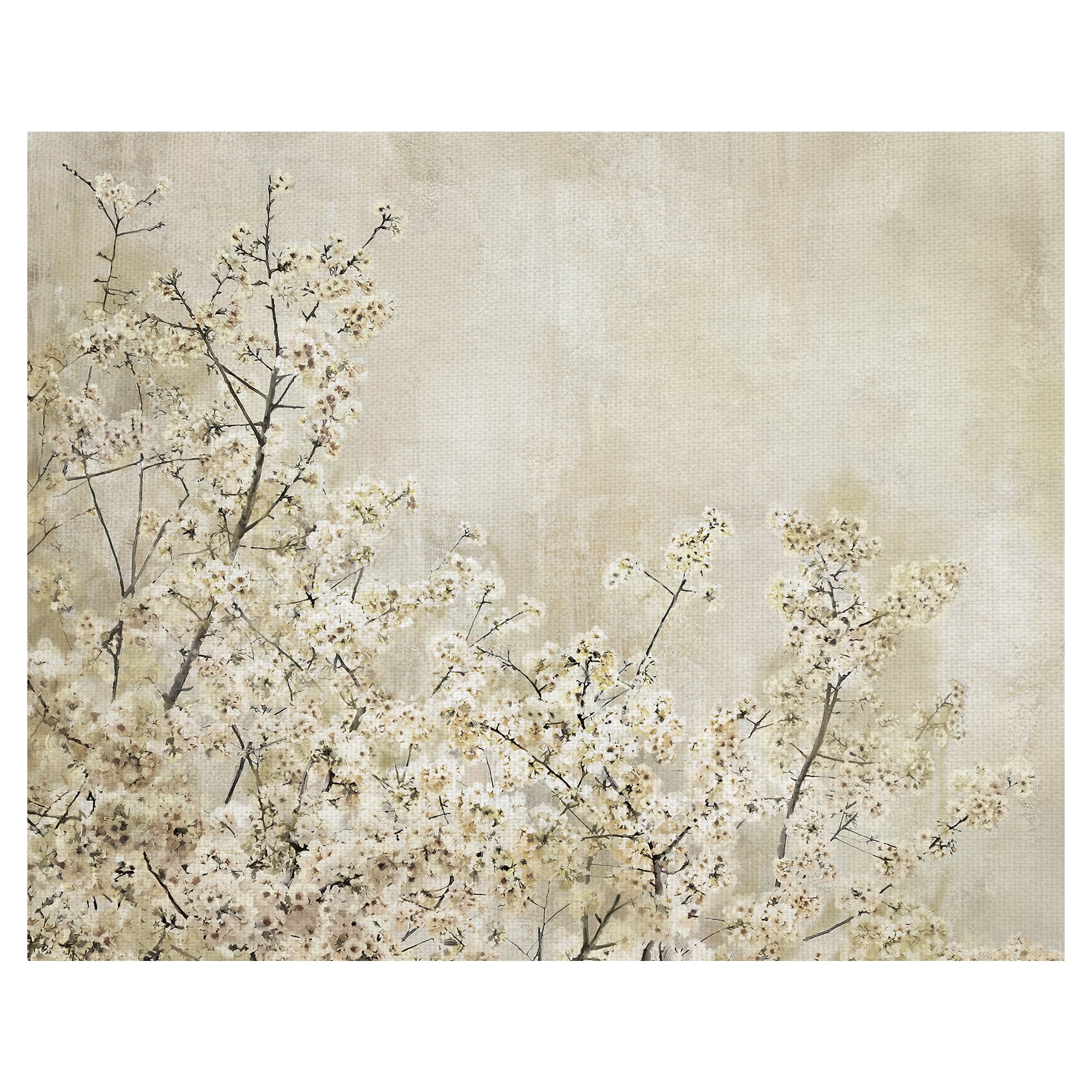 Fine Art Canvas Seasons Ivory White Tree Blossoms by Studio Arts Canvas Art Print