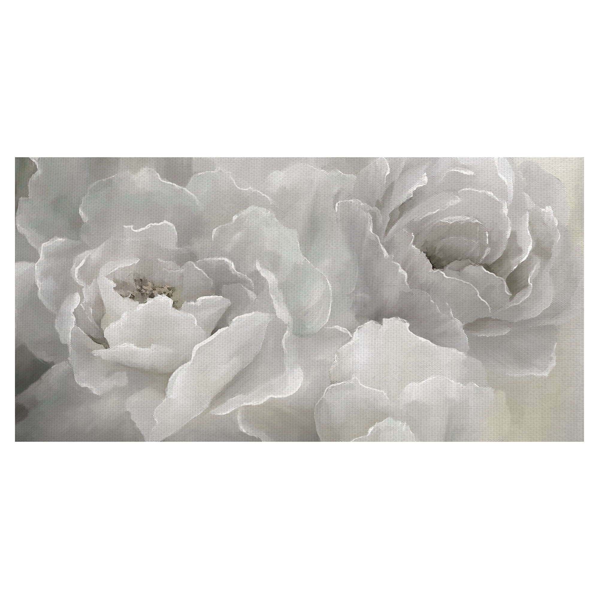 Soft White Peony Canvas Art Print for Kids Room