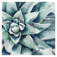 thumbnail image 1 of Fine Art Canvas Watercolor Succulent Bloom Square Blue by Studio Arts Canvas Art Print, 1 of 4