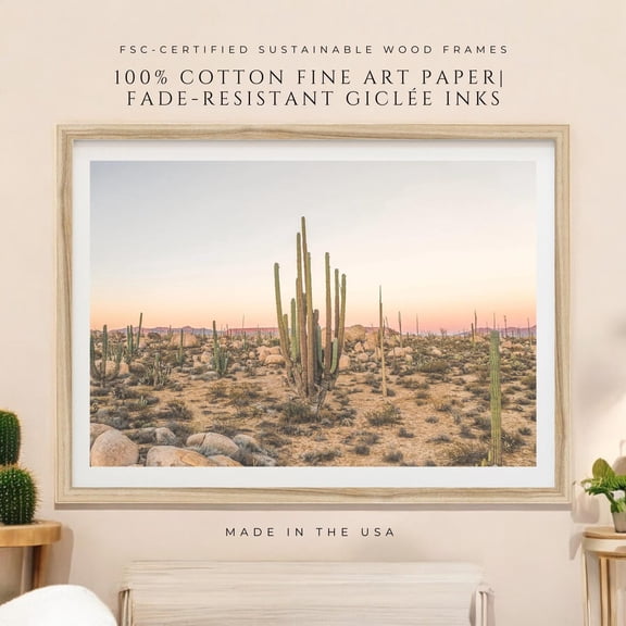 Fine Art Desert Photography Print - Desert Wall Art Print, Baja California Mexico Wall Decor, Southwestern Wall Art, Cactus Photography Wall Art, Modern Wall Decor, 8x12 UNFRAMED