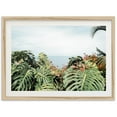thumbnail image 1 of Fine Art Hawaii Ocean Print - Tropical Boho Foliage Kona Palm Tree Photography Beach Home Wall Decor Wall Art, Modern Wall Decor, 12x18 UNFRAMED, 1 of 2