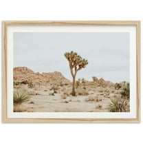 Fine Art Joshua Tree Print Desert Southwest Wall Art, Western Wall Decor, California Photography Print Wall Art, Modern Wall Decor, 8x12 UNFRAMED