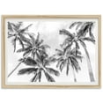 thumbnail image 1 of Fine Art Palm Trees Beach Print - Black And White Coastal Travel Ocean Photography Hawaii Home Wall Decor Wall Art, Modern Wall Decor, 12x18 UNFRAMED, 1 of 2