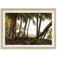 thumbnail image 1 of Fine Art Palm Trees Beach Print - Coastal Travel Ocean Photography Costa Rica Tropical Home Wall Decor Wall Art, Modern Wall Decor, 8x12 UNFRAMED, 1 of 2