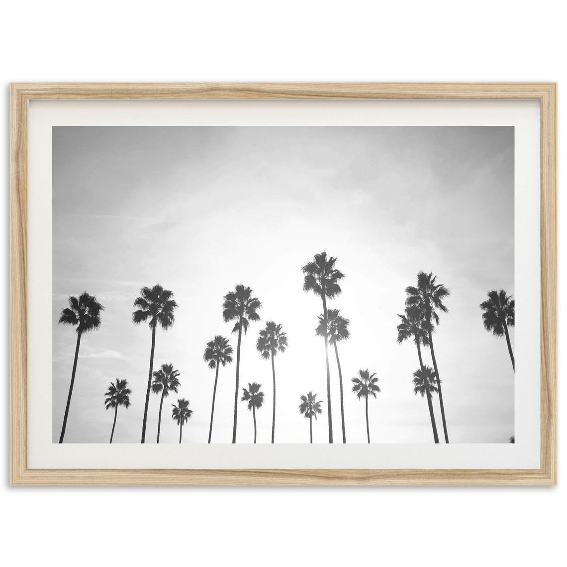 Fine Art Palm Trees Print Black And White Coastal Wall Decor, Swamis ...