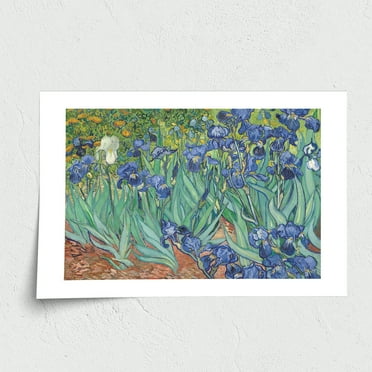 Fine Art Paper Print - Irises, 1889