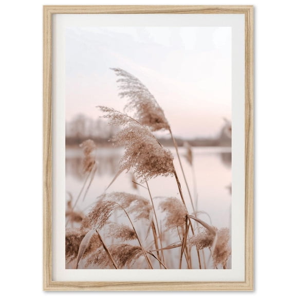 Fine Art Photography Print - Boho Lake House Coastal Beach Wall Art Photography Home Decor Wall Art, Modern Wall Decor, 8x12 UNFRAMED