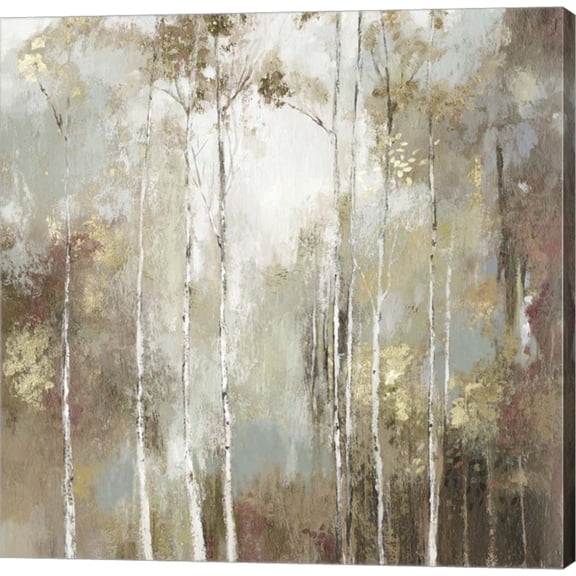 Fine Birch I by Allison Pearce, Canvas Wall Art, 24W x 24H