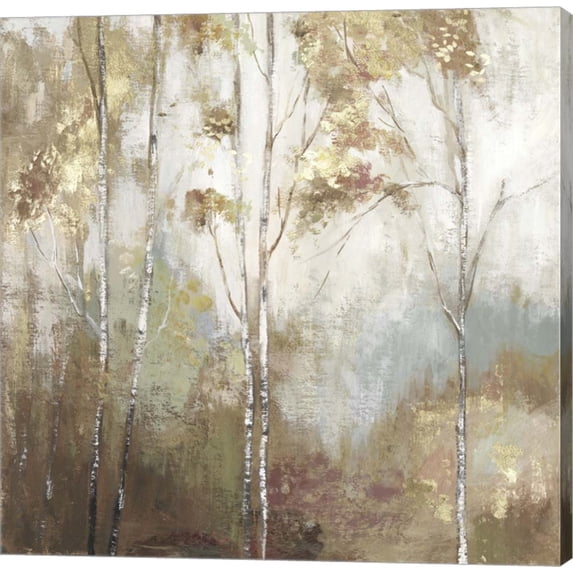 Fine Birch II by Allison Pearce, Canvas Wall Art, 12W x 12H