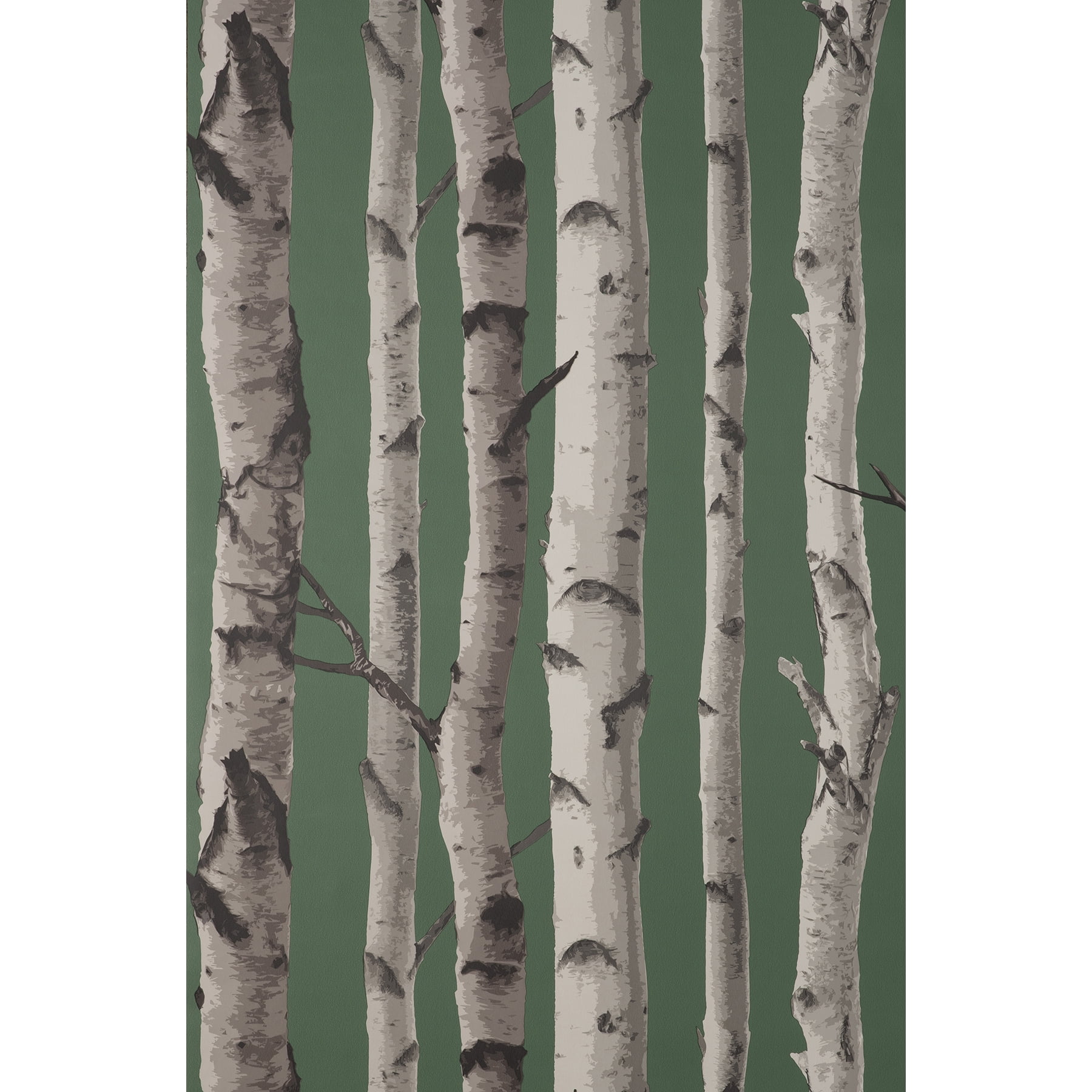 Hunter Green and White Birch Trees Non-pasted Wallpaper Roll