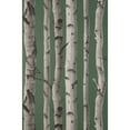 thumbnail image 1 of Fine Decor Chester Dark Green Birch Trees Wallpaper, 20.5-in by 33-ft, 1 of 7