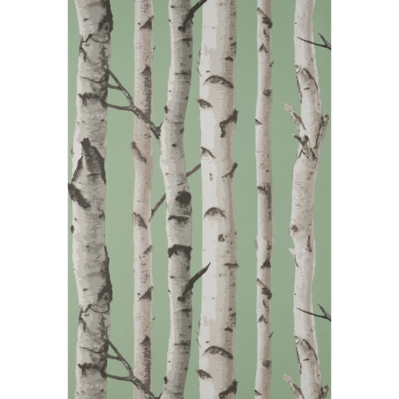 Fine Decor Chester Sage Birch Trees Wallpaper, 20.5-in by 33-ft