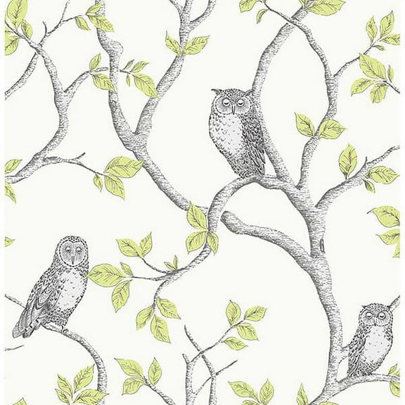 Fine Decor Linden Green Owl Unpasted Paper Wallpaper, 20.5-in by 33-ft, 56.4 sq. ft.