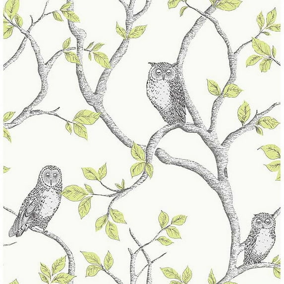 Fine Decor Linden Green Owl Unpasted Paper Wallpaper, 20.5-in by 33-ft, 56.4 sq. ft.