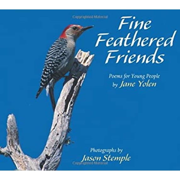 Pre-Owned Fine Feathered Friends (Paperback) 1590781937 9781590781937