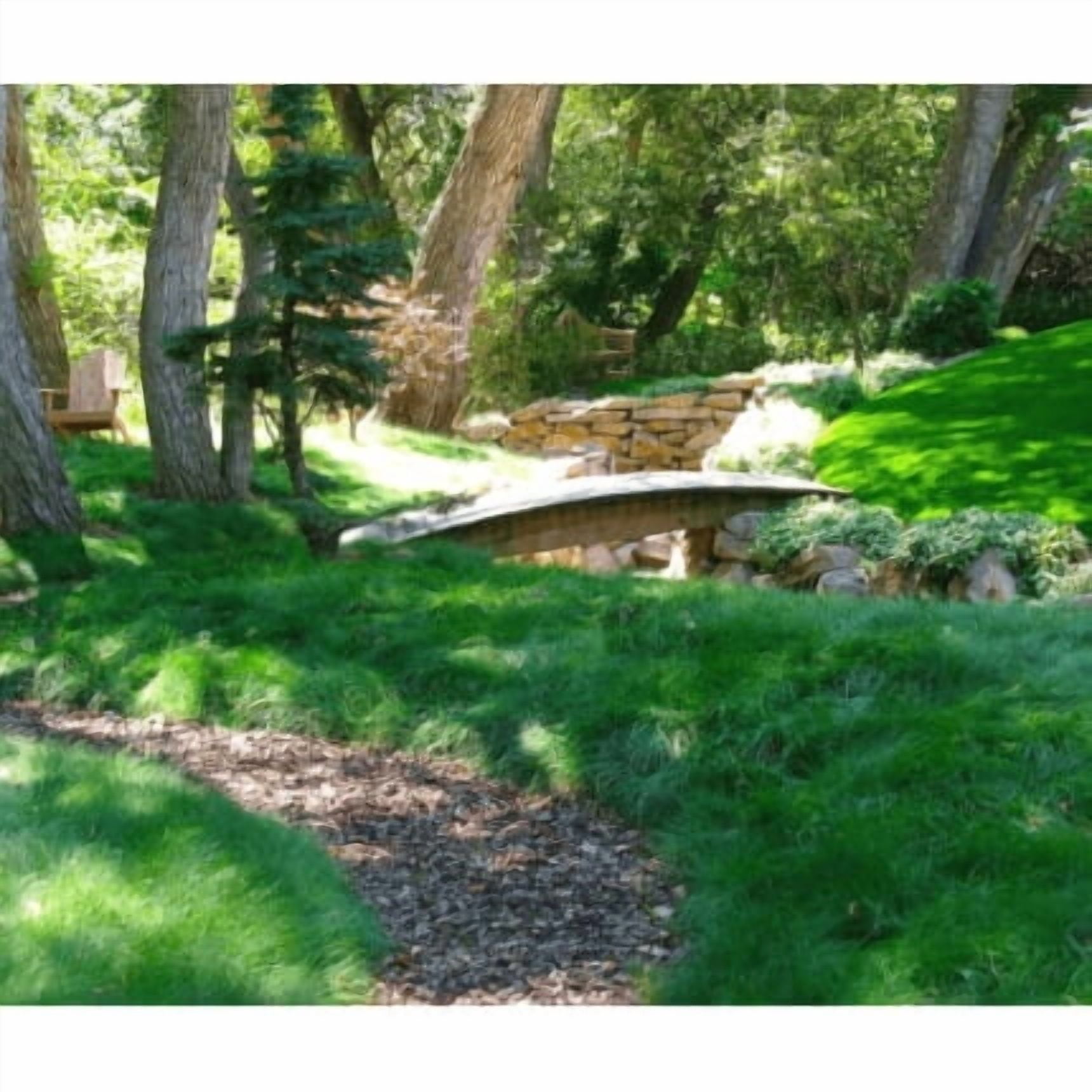 Fine Fescue Grass Seed Mix - 5 lb - Covers 1,000 Sq Ft