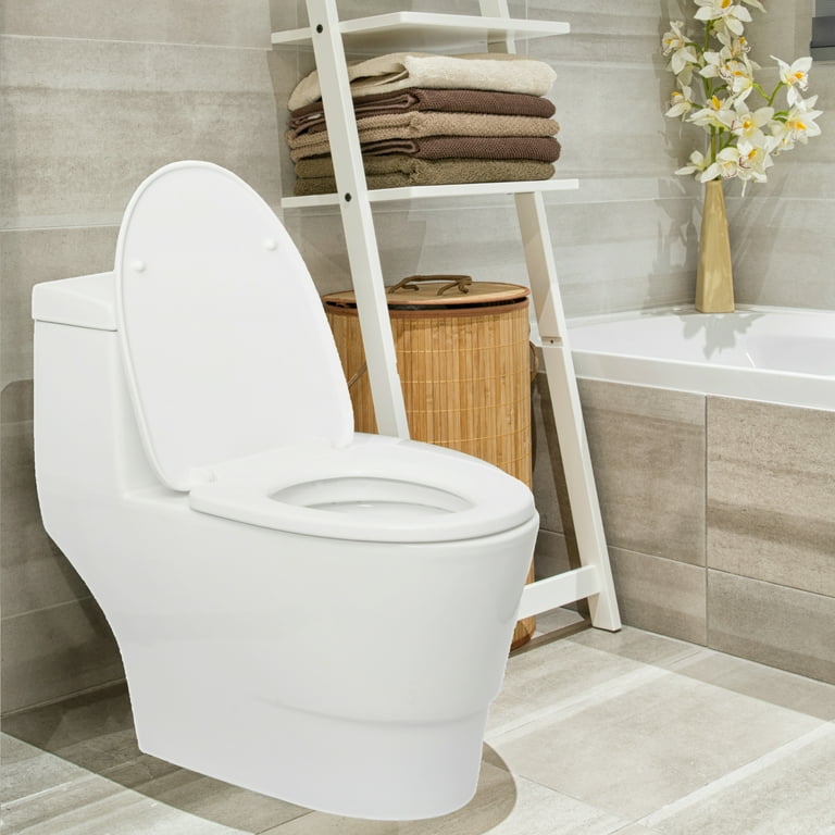 Toilet seat fixtures online