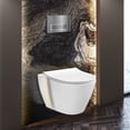 thumbnail image 1 of Fine Fixtures Toilet Combo Set - Toilet Bowl With Soft-Close Seat, 2"x 6" Concealed Tank And Carrier System, Push Buttons Included. Chrome, 1 of 11