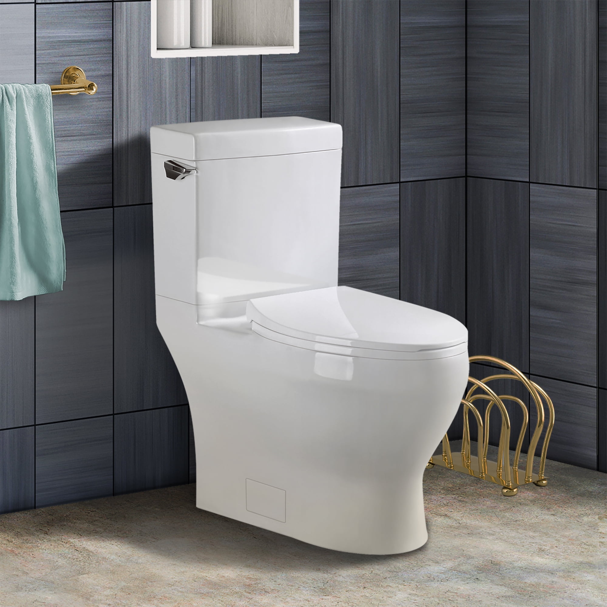 One piece 2024 ada toilet