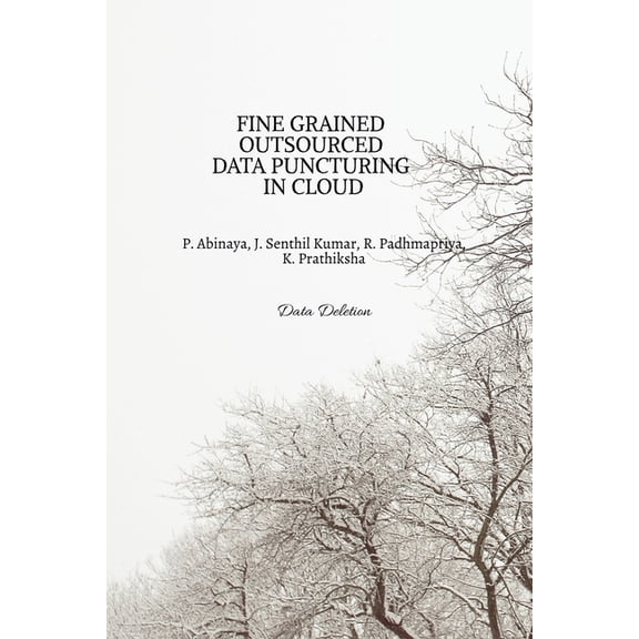 Fine Grained Outsourced Data Puncturing in Cloud: Data Deletion, (Paperback)