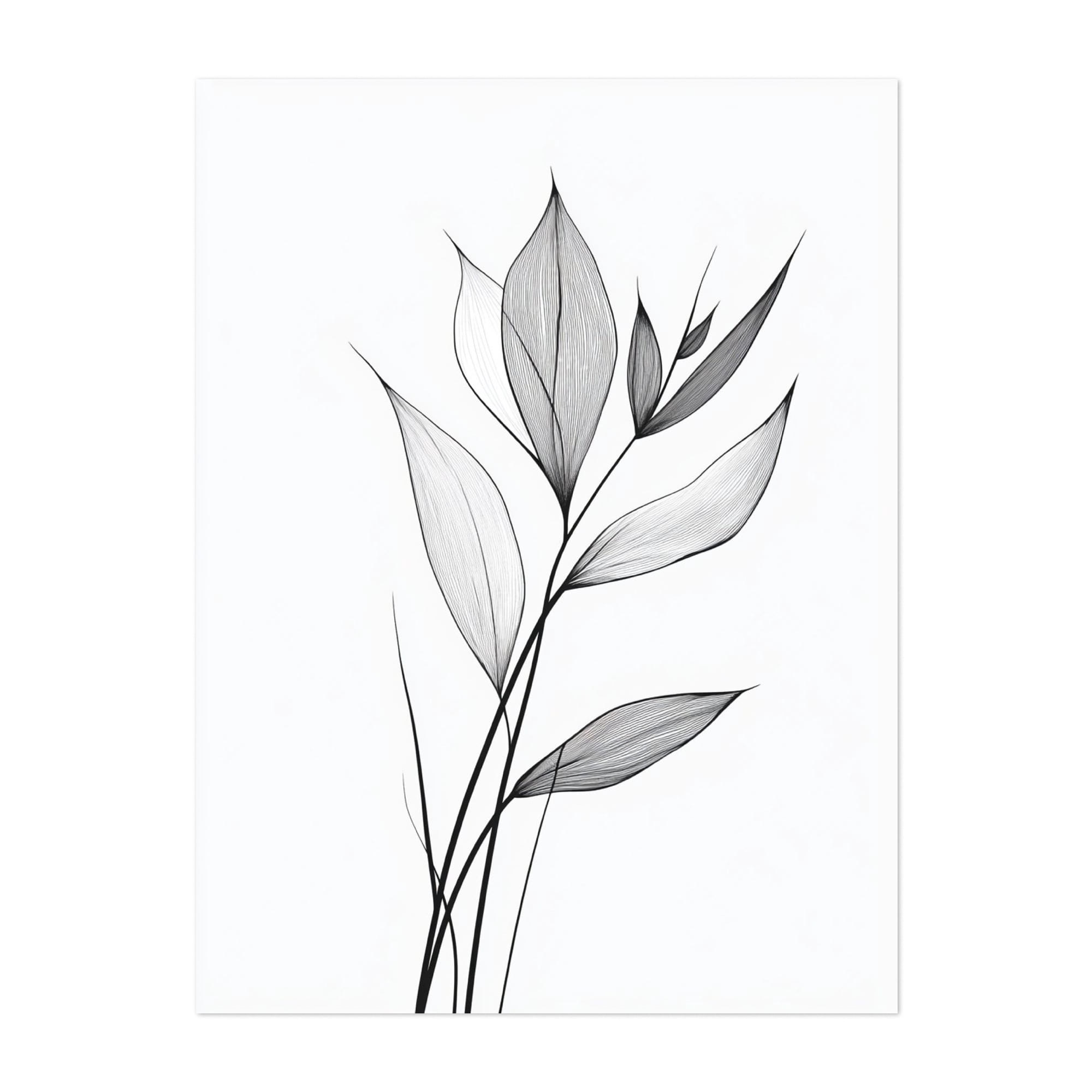 Fine Line Botanical Art - Line Drawing Line Art Minimalist Black and ...