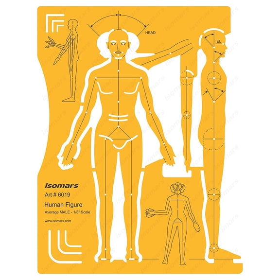 FineArt Male Human Figure Drafting and Design Template