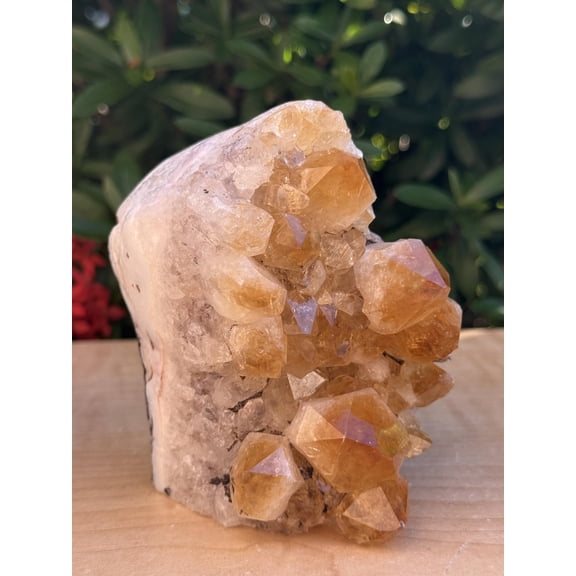 Finely Polished Citrine Clusters With Cut Base | Honey Citrine Quartz Cluster (1-2 lb)