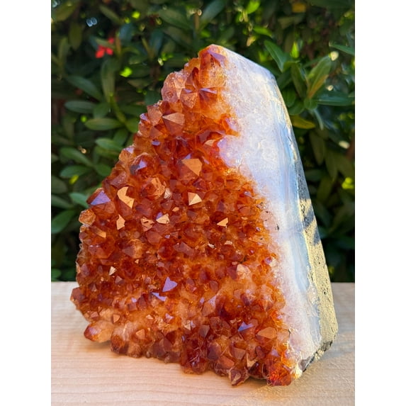 Finely Polished Citrine Clusters With Cut Base | Honey Citrine Quartz Cluster (3-4 lb)