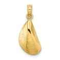 thumbnail image 1 of Finest Gold 10K Yellow Gold 2-D Polished Mussel Shell Charm, 1 of 1