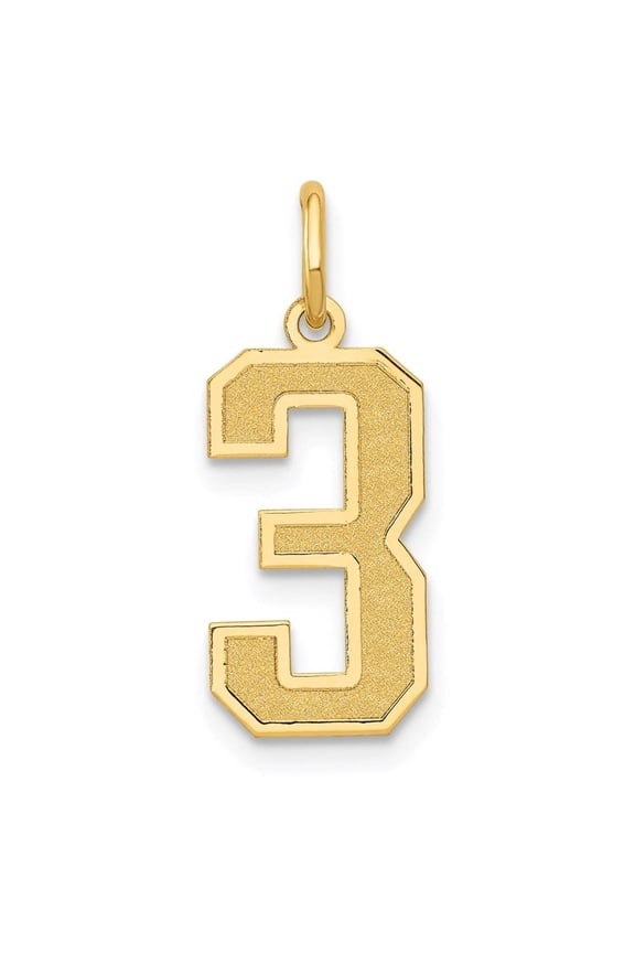 14k Yellow Gold Satin Brush Finish Medium Size Number 3 Charm Pendant