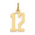 thumbnail image 1 of Finest Gold 14K Small Elongated Number 12 Charm, 1 of 4