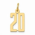 thumbnail image 1 of 14K Yellow Gold Polished Finish Small Size Elongated Shape Number 20 Charm Pendant, 1 of 3