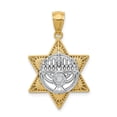 thumbnail image 1 of 14K Yellow Gold Polish Texture Finish 3D Star Of David Menorah Pendant, 1 of 2