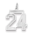 thumbnail image 1 of 14k White Gold Satin Brush Finish Medium Size Number 24 Charm Pendant, 1 of 4