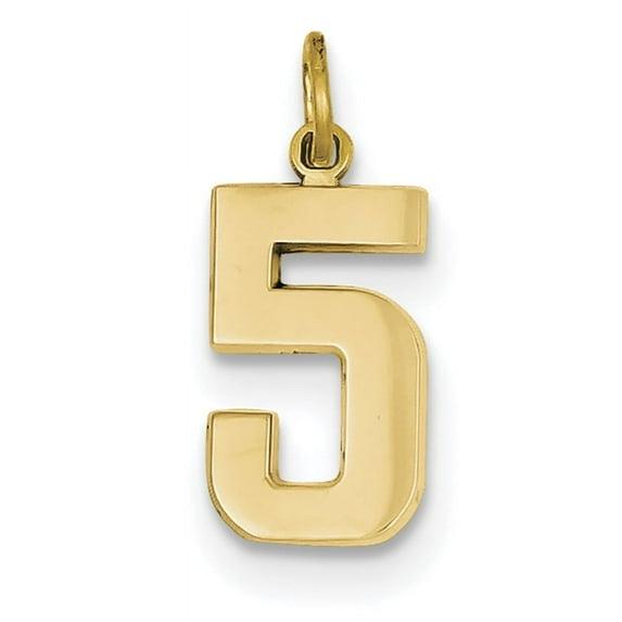 FJC Finejewelers 14k Yellow Gold Casted Medium Polished Number 5 Charm