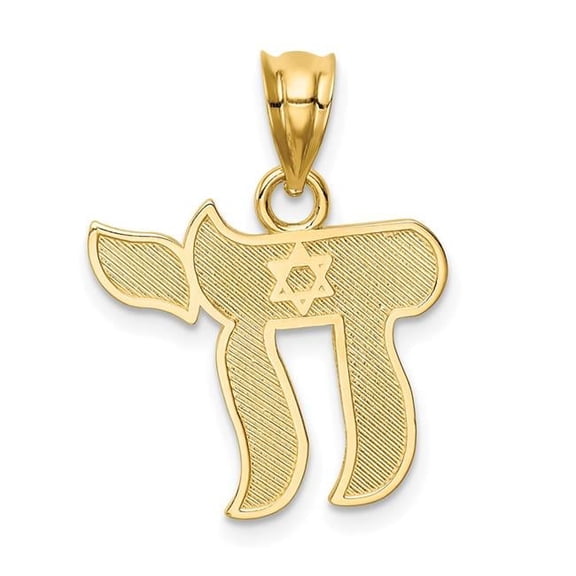 14K Polished Chai with Star of David Pendant D4552