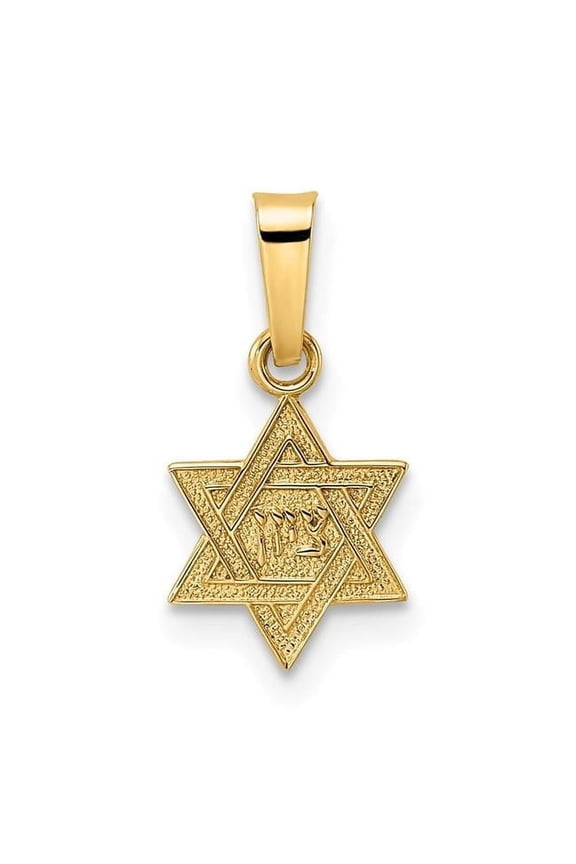 14K Yellow Gold Polished Textured Solid Star of David Pendant