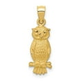 thumbnail image 1 of Finest Gold 14K Yellow Gold Satin Diamond-Cut Owl Pendant, 1 of 3