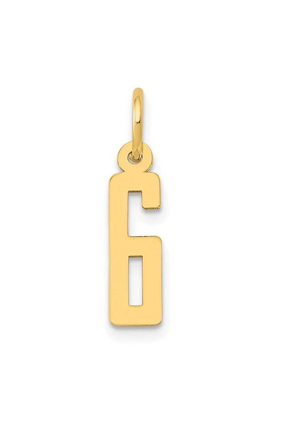 14K Yellow Gold Small Elongated Number 6 Charm