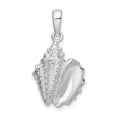 thumbnail image 1 of Finest Gold Sterling Silver Polished Conch Shell Pendant, 1 of 2