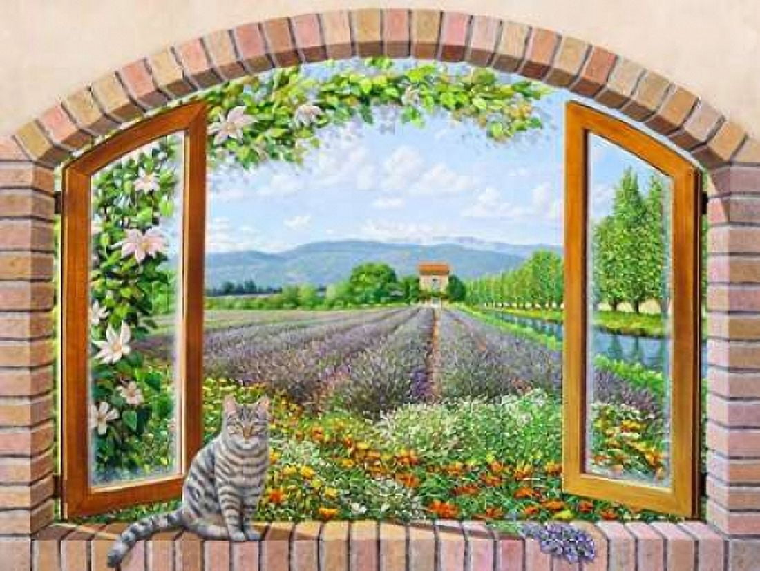 Finestra in provenza Canvas Art - Andrea Del Missier (22 x 28)