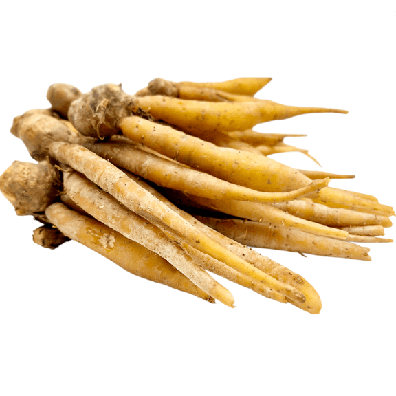 Finger Root Live Starter Plants for Planting, Finger Root Live Plant, Ginger Plant, Krachai Plant, 4-8 Inch Tall, No Ship Pot