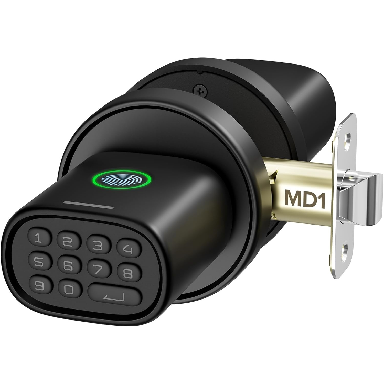 Fingerprint Door Knob, Keyless Door Knob with Keypad Biometric ...