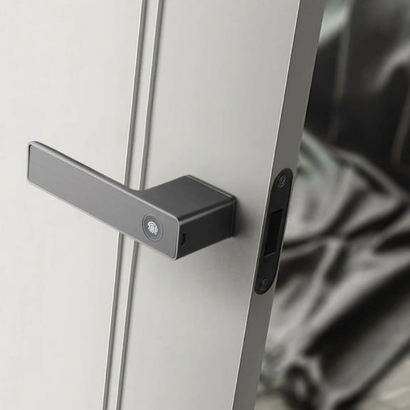 Fingerprint Door Lock Handle for Home House Apartment with Key Card Digital Door Lock Keypad Keylessgray
